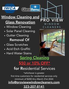 Pro View Window Cleaners flyer spring cleaning