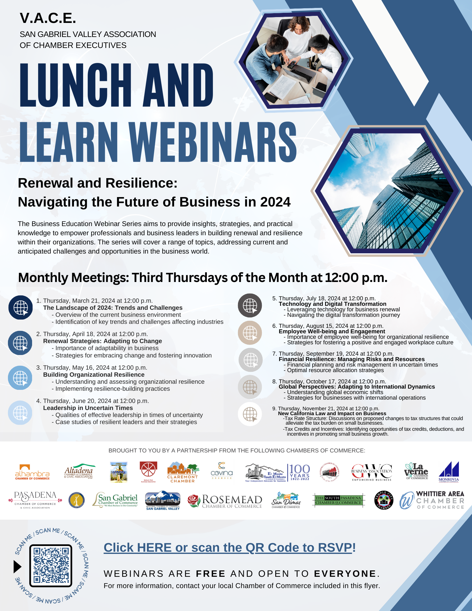 VACE Lunch and Learn webinar series flyer